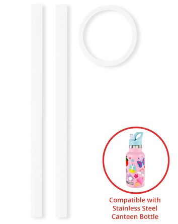 Stainless Steel Canteen Bottle Extra Straws - 2-Pack, 