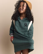 Toddler Girl Long-Sleeve Hooded Sweatshirt Dress - Green, image 1 of 7 slides
