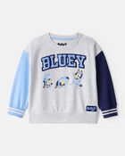 Toddler Bluey Colorblock French Terry Sweatshirt - Grey, image 1 of 3 slides