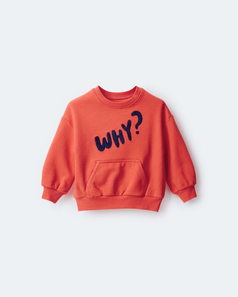 Toddler 'Why?' Graphic Pullover Sweatshirt - Orange, image 2 of 7 slides