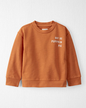 Toddler Organic Cotton Pumpkin Pie Sweatshirt, 