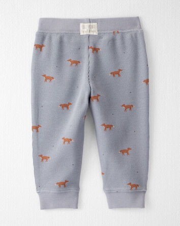 Baby 2-Piece Organic Cotton Waffle Knit Set in Shadow Fox Print, 