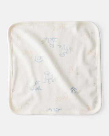 Baby Boy 6-Pack Washcloths - Blue, 