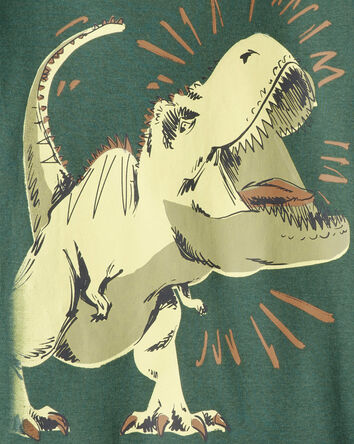 Boys Dinosaur Print 100% Cotton Long-Sleeve 4-Piece Pajamas - Green, 