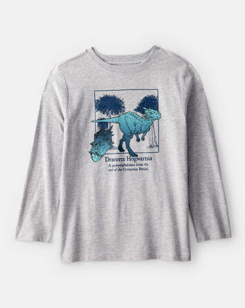 Boys Dinosaur Long-Sleeve Graphic Tee - Grey, 