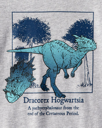 Boys Dinosaur Long-Sleeve Graphic Tee - Grey, 