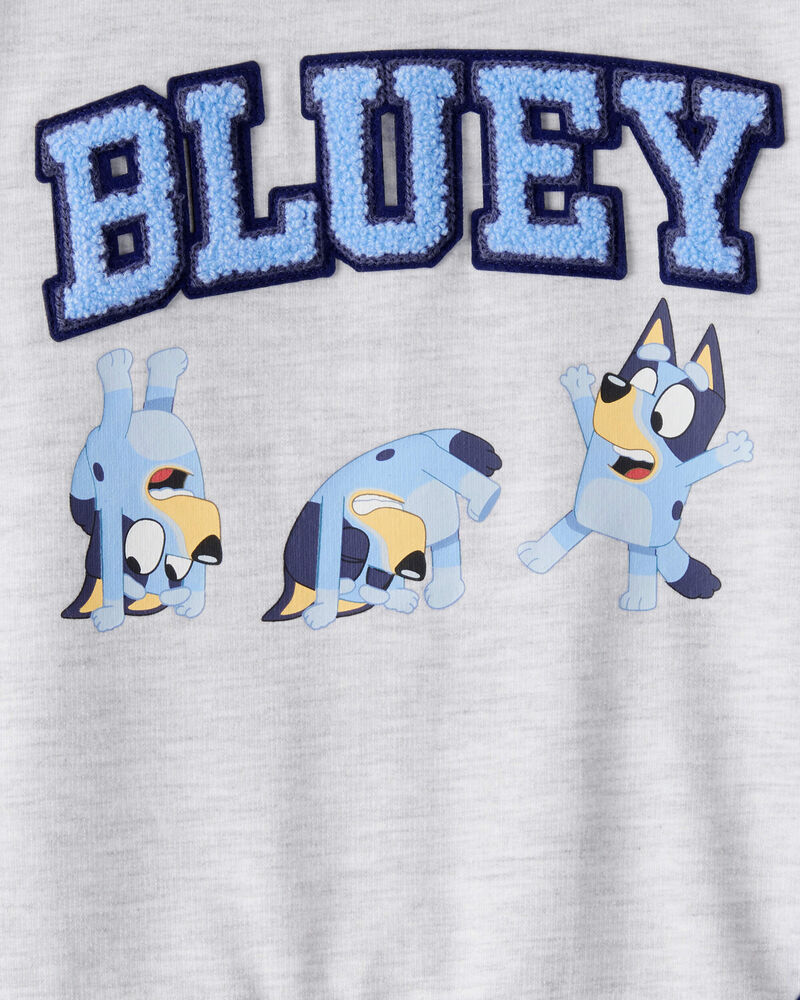Toddler Bluey Colorblock French Terry Sweatshirt - Grey, image 3 of 3 slides