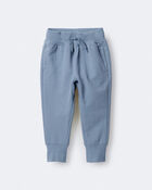 Toddler City Park&trade; Jogger Pant - Blue, image 2 of 7 slides