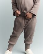 Toddler City Park&trade; Jogger Pant - Brown, image 1 of 7 slides
