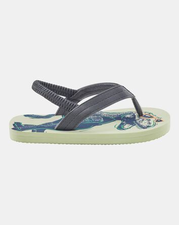 Dinosaur Flip Flops, 
