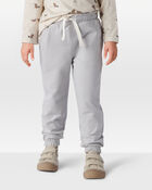 Toddler 2-Pack Organic Cotton French Terry Sweatpants, image 5 of 10 slides