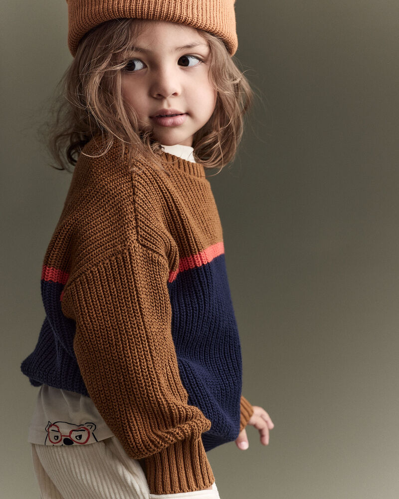 Toddler Boy Colorblock Pullover Sweater - Navy/Cinnamon, image 3 of 7 slides