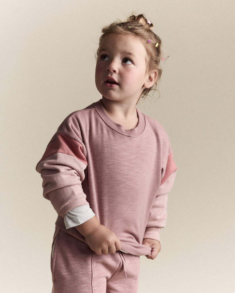 Toddler Girl Colorblock Dolman-Sleeve Sweatshirt - Mauve, image 1 of 6 slides