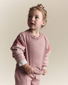 Toddler Girl Colorblock Dolman-Sleeve Sweatshirt - Mauve, image 1 of 6 slides