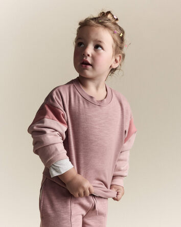 Toddler Girl Colorblock Dolman-Sleeve Sweatshirt - Mauve, 