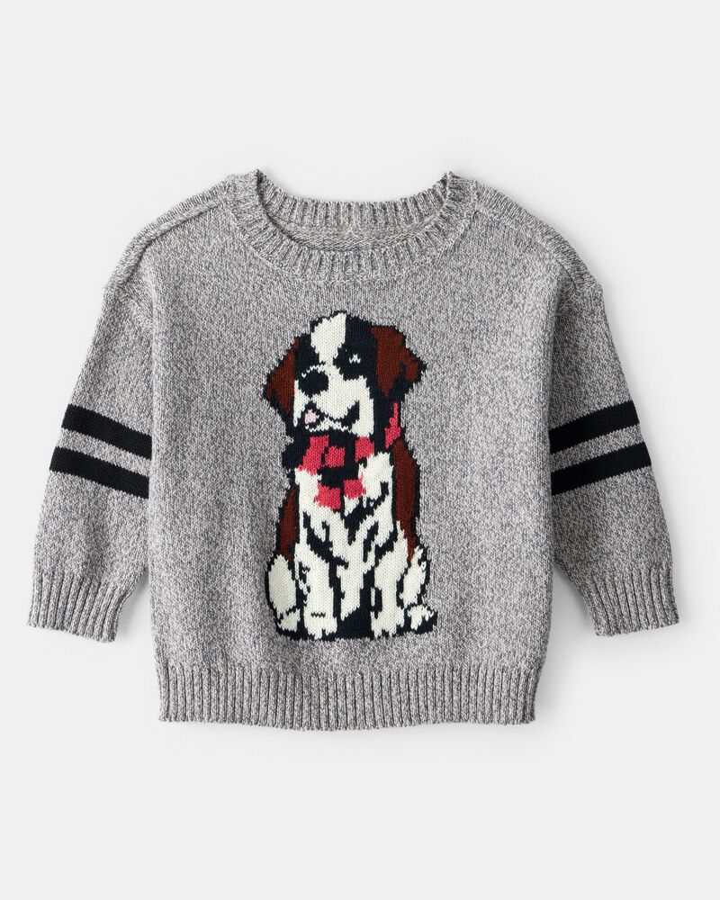 Baby Boy Dog Sweater - Grey, image 1 of 3 slides