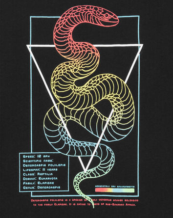 Kid Snake Short-Sleeve Graphic Tee - Black, 