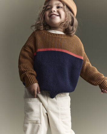 Toddler Boy Colorblock Pullover Sweater - Navy/Cinnamon, 