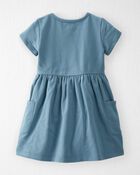 Toddler Organic Cotton Pocket Dress in Cottage Blue, image 2 of 5 slides