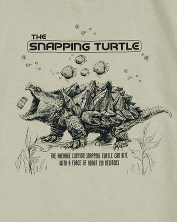 Boys Turtle Short-Sleeve Graphic Tee - Grey, 