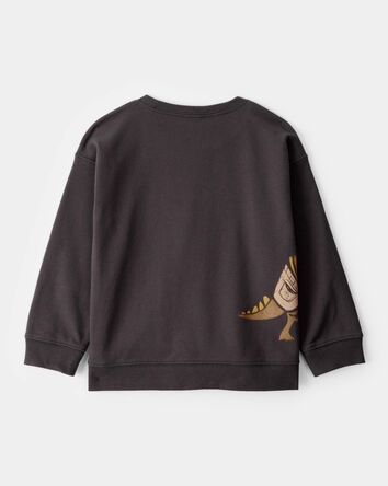 Toddler Boy Halloween Trick or Treat Dinosaur Pullover - Black, 