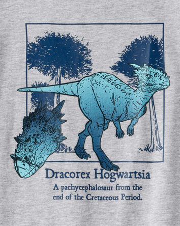 Boys Dinosaur Short-Sleeve Graphic Tee - Grey, 