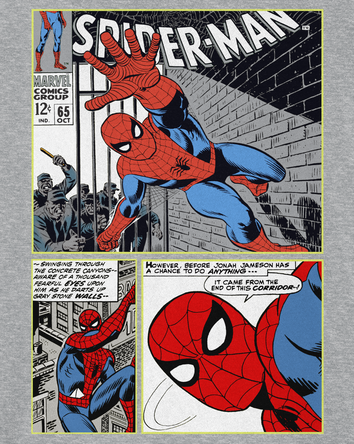 Boys Marvel&trade; Spider-Man Short-Sleeve Graphic Tee - Grey, 