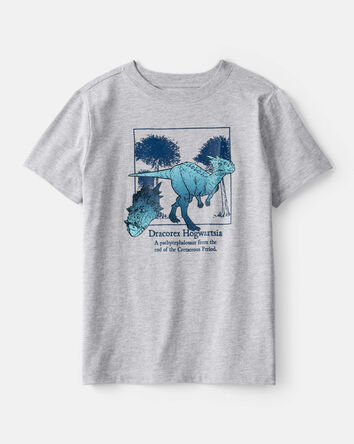 Boys Dinosaur Short-Sleeve Graphic Tee - Grey, 