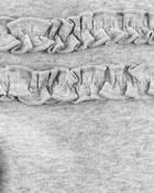 Baby 4-Pack Ruffle-Detail Cotton Pants
, image 8 of 9 slides