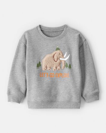 Toddler Boy DayDream Fleece Mammoth Pullover Sweatshirt - Grey, 