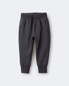 Toddler City Park&trade; Jogger Pant - Dark Grey, image 2 of 7 slides