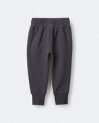 Toddler City Park&trade; Jogger Pant - Dark Grey, image 6 of 7 slides