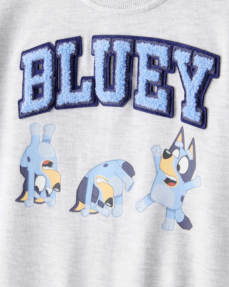 Toddler Bluey Colorblock French Terry Sweatshirt - Grey, image 2 of 3 slides