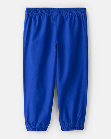Toddler Boy Lined Joggers - Blue, 