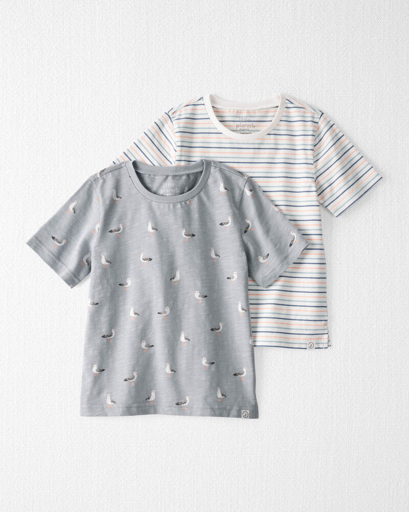 Toddler 2-Pack Organic Cotton Tees, image 1 of 5 slides