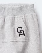 Toddler Boy Jogger Pant - Heather Grey, image 6 of 6 slides