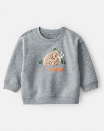 Baby Boy DayDream Fleece Mammoth Pullover Sweatshirt - Grey, 