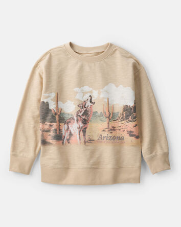 Boys Arizona Western Cotton Pullover Sweatshirt - Brown, 