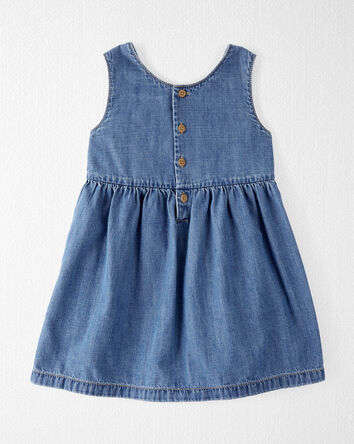Toddler Organic Cotton Chambray Dress, 