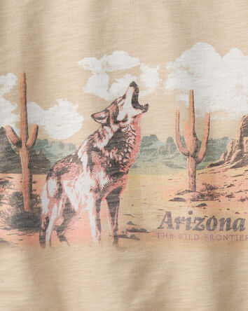 Boys Arizona Western Cotton Pullover Sweatshirt - Brown, 