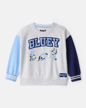 Toddler Bluey Colorblock French Terry Sweatshirt - Grey, 