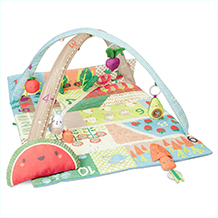 Farmstand Grow & Play Activity Gym